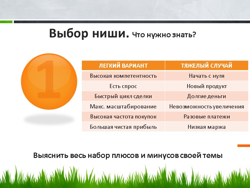Выбор ниши. Что нужно знать? 1 Выяснить весь набор плюсов и минусов своей темы